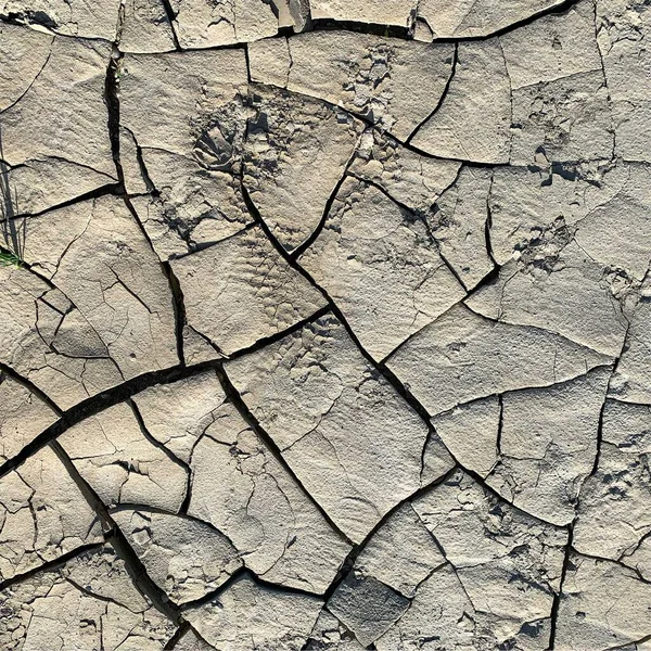 Fundo Terra Rachado Superfície Seca Solo Com Rachaduras Rachaduras Lama — Fotografia de Stock