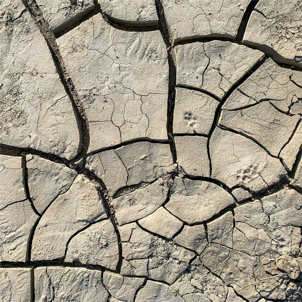 Fond Terre Fissuré Surface Sol Sèche Avec Fissures Fissures Boue — Photo