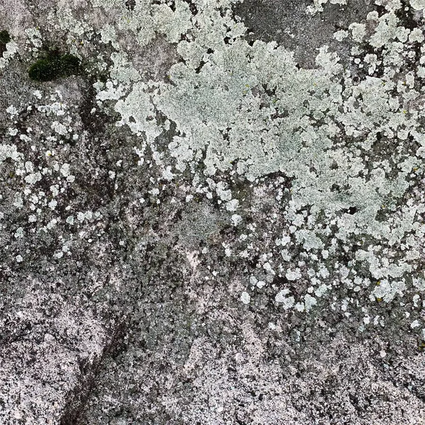 Mountain Rock Background Rock Texture Stone Backdrop — Fotografia de Stock