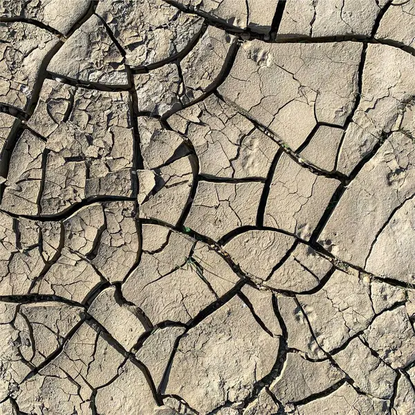 Cracked Earth Background Dry Ground Surface Cracks Mud Cracks — Stock Photo, Image