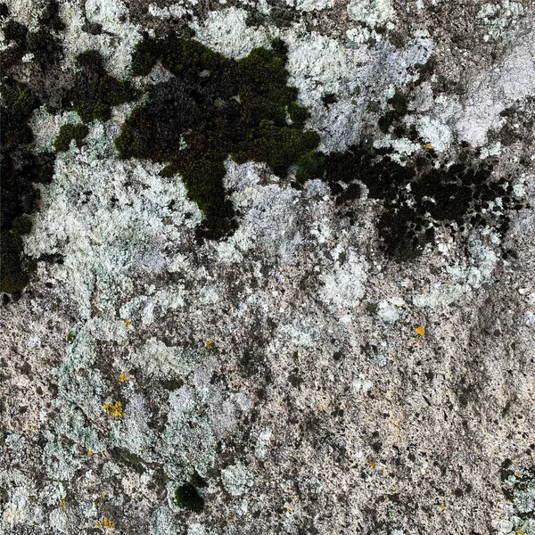 Mountain Rock Background Rock Texture Stone Backdrop — Stock Fotó