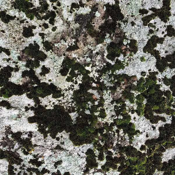 Dağ kayası arka planı. Kaya dokusu. Taş zemin