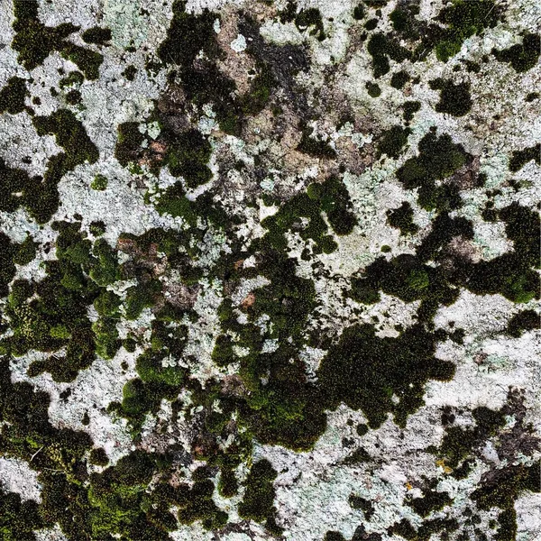 Dağ Kayası Arka Planı Kaya Dokusu Taş Zemin — Stok fotoğraf