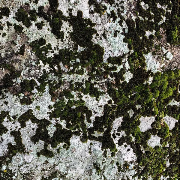 Bergfelsen Gesteinsstruktur Steinkulisse — Stockfoto