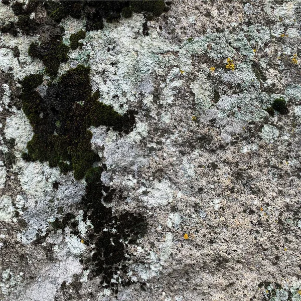 Mountain Rock Background Rock Texture Stone Backdrop — Fotografia de Stock