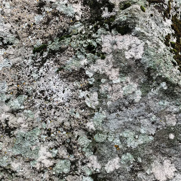 Mountain Rock Background Rock Texture Stone Backdrop —  Fotos de Stock