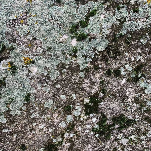 Dağ kayası arka planı. Kaya dokusu. Taş zemin