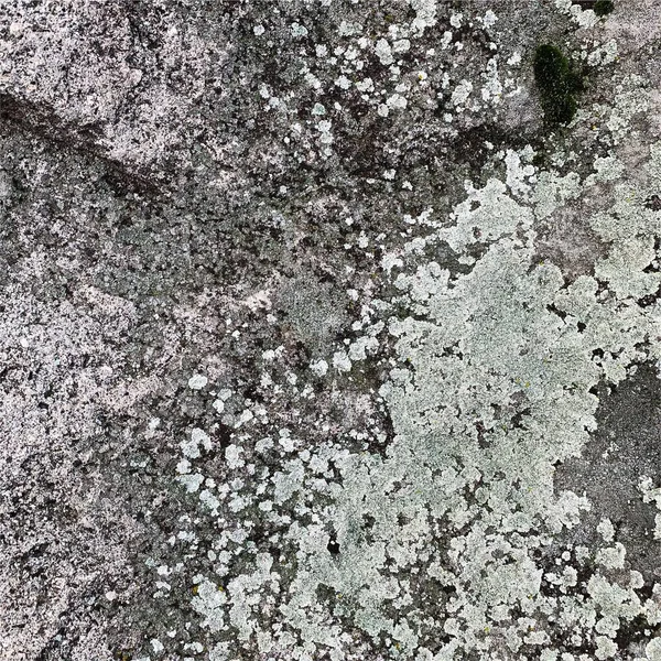 Dağ kayası arka planı. Kaya dokusu. Taş zemin