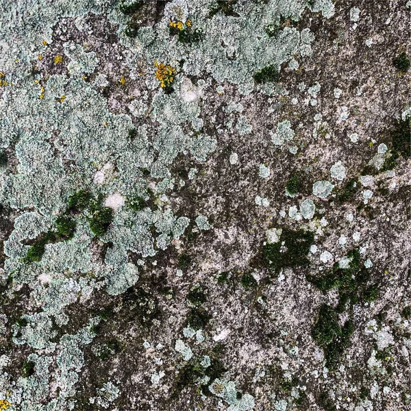 Mountain Rock Background Rock Texture Stone Backdrop — ストック写真