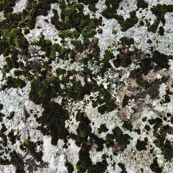 Mountain Rock Background Rock Texture Stone Backdrop — Fotografia de Stock