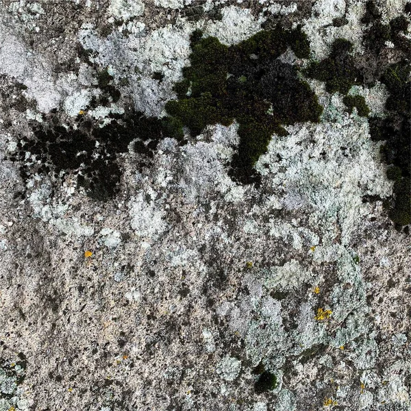 Mountain Rock Background Rock Texture Stone Backdrop —  Fotos de Stock