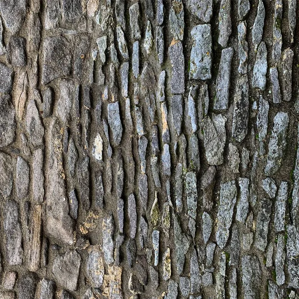 Eski taş duvar arka planı. Taş zemin