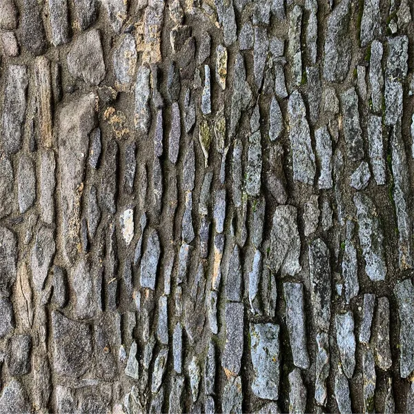 Eski taş duvar arka planı. Taş zemin