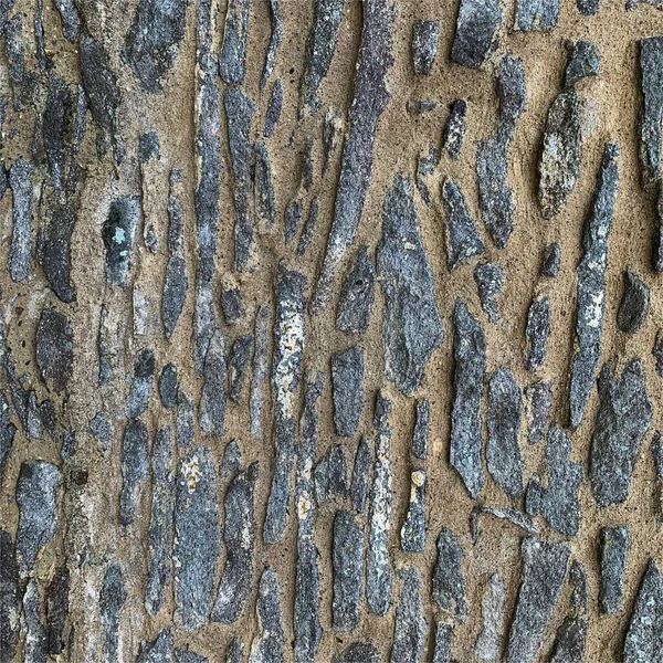 Eski taş duvar arka planı. Taş zemin