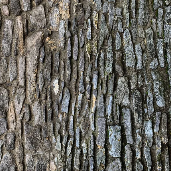 Eski taş duvar arka planı. Taş zemin