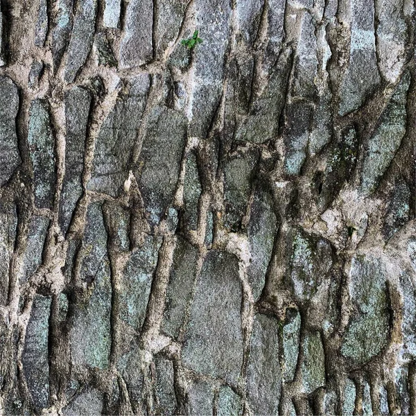 Old Stone Wall Background Stone Backdrop — Fotografia de Stock