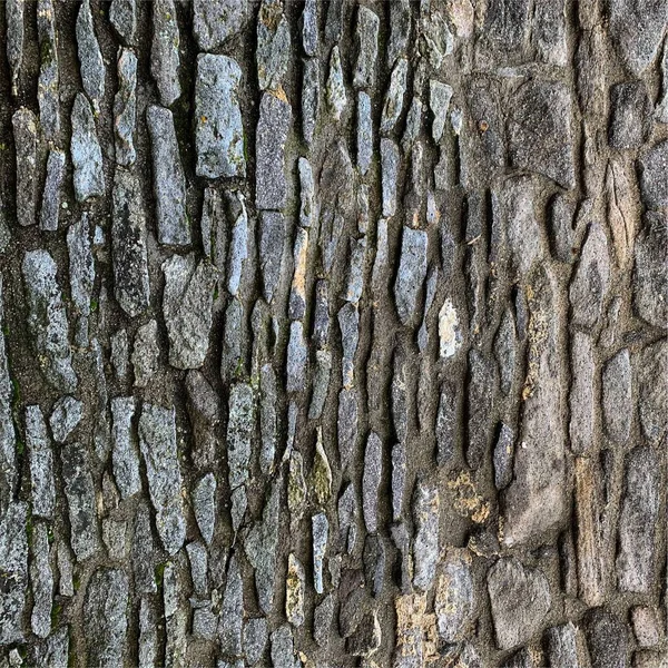 Eski taş duvar arka planı. Taş zemin