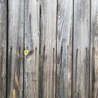 Ahşap duvar arka planı. Çit arkaplanı. Tahtadan yapılmış kalas.