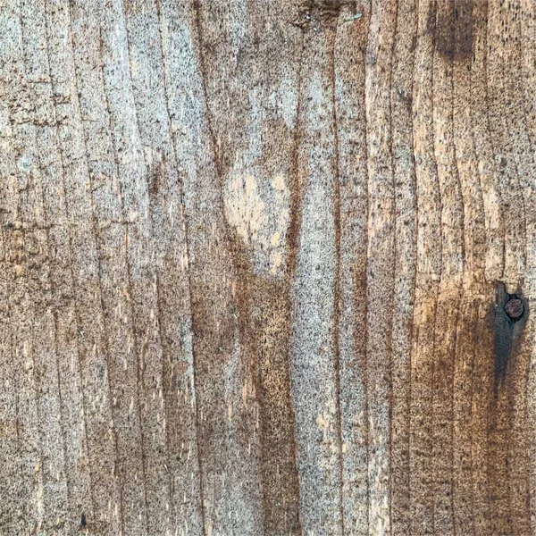 Wooden Wall Background Fence Backdrop Plank Made Wood — Zdjęcie stockowe