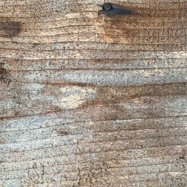 Ahşap duvar arka planı. Çit arkaplanı. Tahtadan yapılmış kalas.