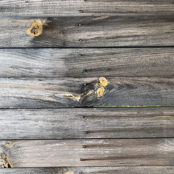 Ahşap duvar arka planı. Çit arkaplanı. Tahtadan yapılmış kalas.