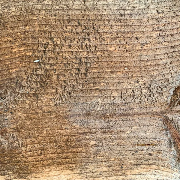 Ahşap duvar arka planı. Çit arkaplanı. Tahtadan yapılmış kalas.