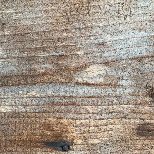 Ahşap duvar arka planı. Çit arkaplanı. Tahtadan yapılmış kalas.