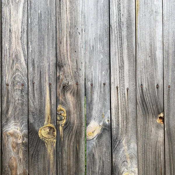 Ahşap duvar arka planı. Çit arkaplanı. Tahtadan yapılmış kalas.