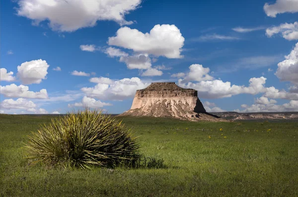 Pawnee National Grassland Dans Colorado Scène Est Une Butte Géologique — Photo