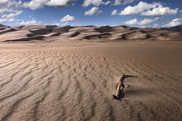 Brown Piece Drift Wood Tree Sand Sand Dunes Distance Wispy — Stock Photo, Image