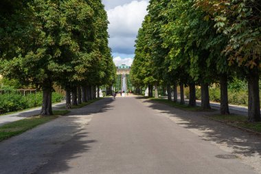 Potsdam Sarayı 'nın bahçesinde ağaçlar var.