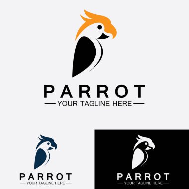 Papağan logo tasarım vektör şablonu