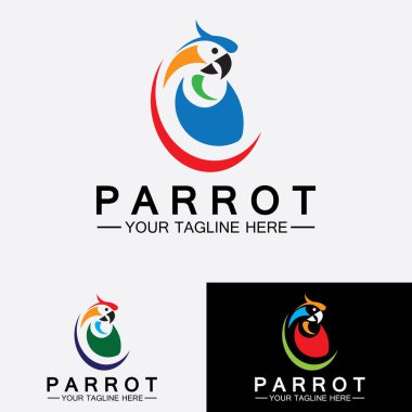 Papağan logo tasarım vektör şablonu