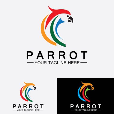 Papağan logo tasarım vektör şablonu