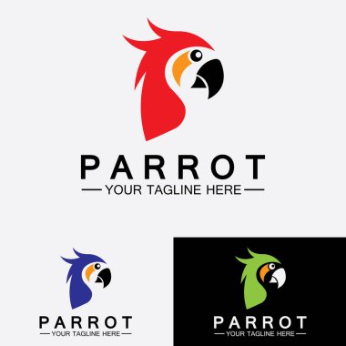 Papağan logo tasarım vektör şablonu