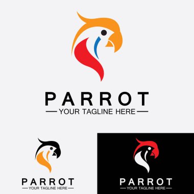Papağan logo tasarım vektör şablonu