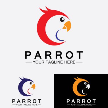 Papağan logo tasarım vektör şablonu