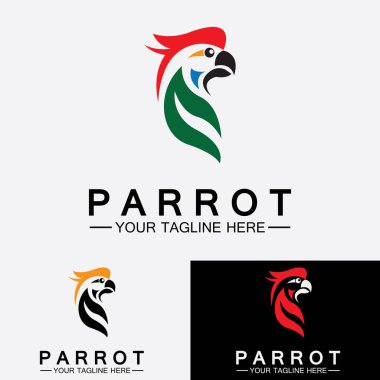 Papağan logo tasarım vektör şablonu