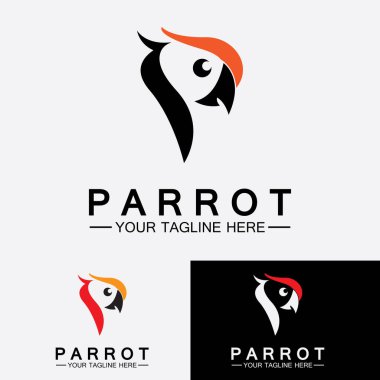 Papağan logo tasarım vektör şablonu