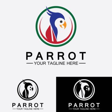 Papağan logo tasarım vektör şablonu