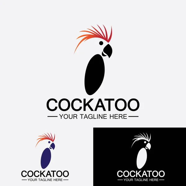 Cockatoo Parrot Bird标志设计向量模板 — 图库矢量图片