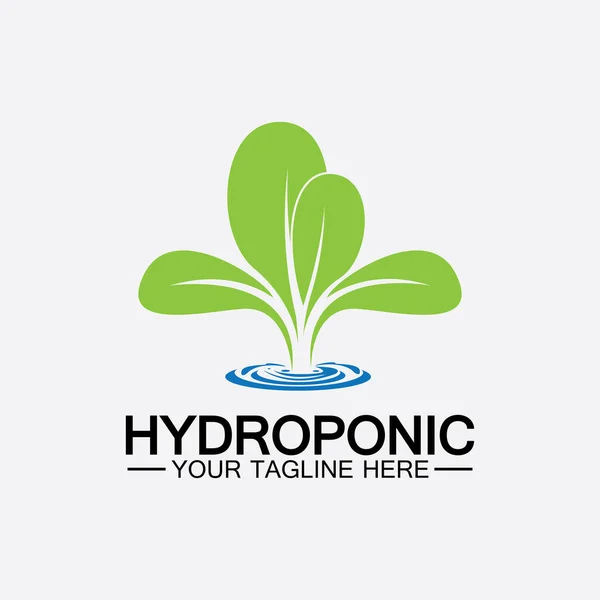 Hydroponic Logo Vector Icon Illustration Design — Stock Vector