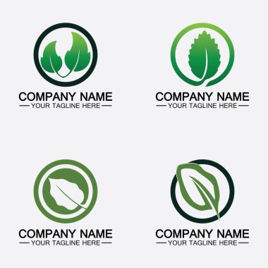 Yaprak logo vektör tasarım şablonu