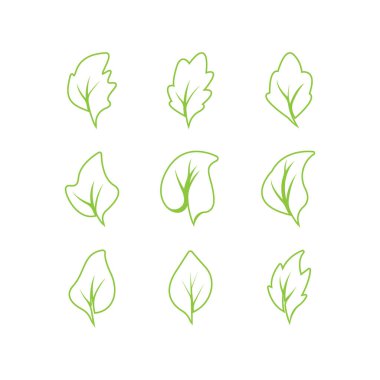 Yeşil yapraklar logosu. Yeşil yaprak simgeleri vektör şablonunu ayarlar