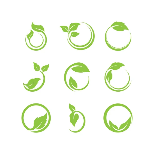 Groene Bladeren Logo Green Blad Pictogrammen Set Vector Template — Stockvector