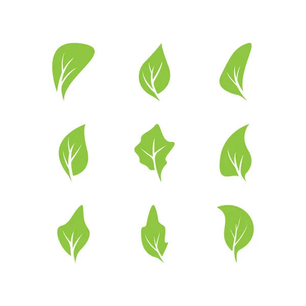 Groene Bladeren Logo Green Blad Pictogrammen Set Vector Template — Stockvector