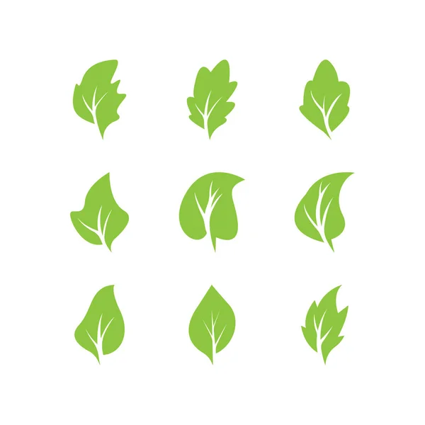 Groene Bladeren Logo Green Blad Pictogrammen Set Vector Template — Stockvector