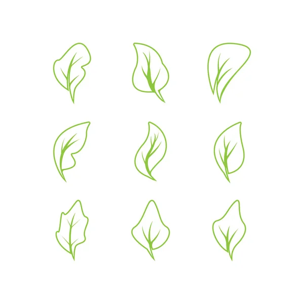 Groene Bladeren Logo Green Blad Pictogrammen Set Vector Template — Stockvector