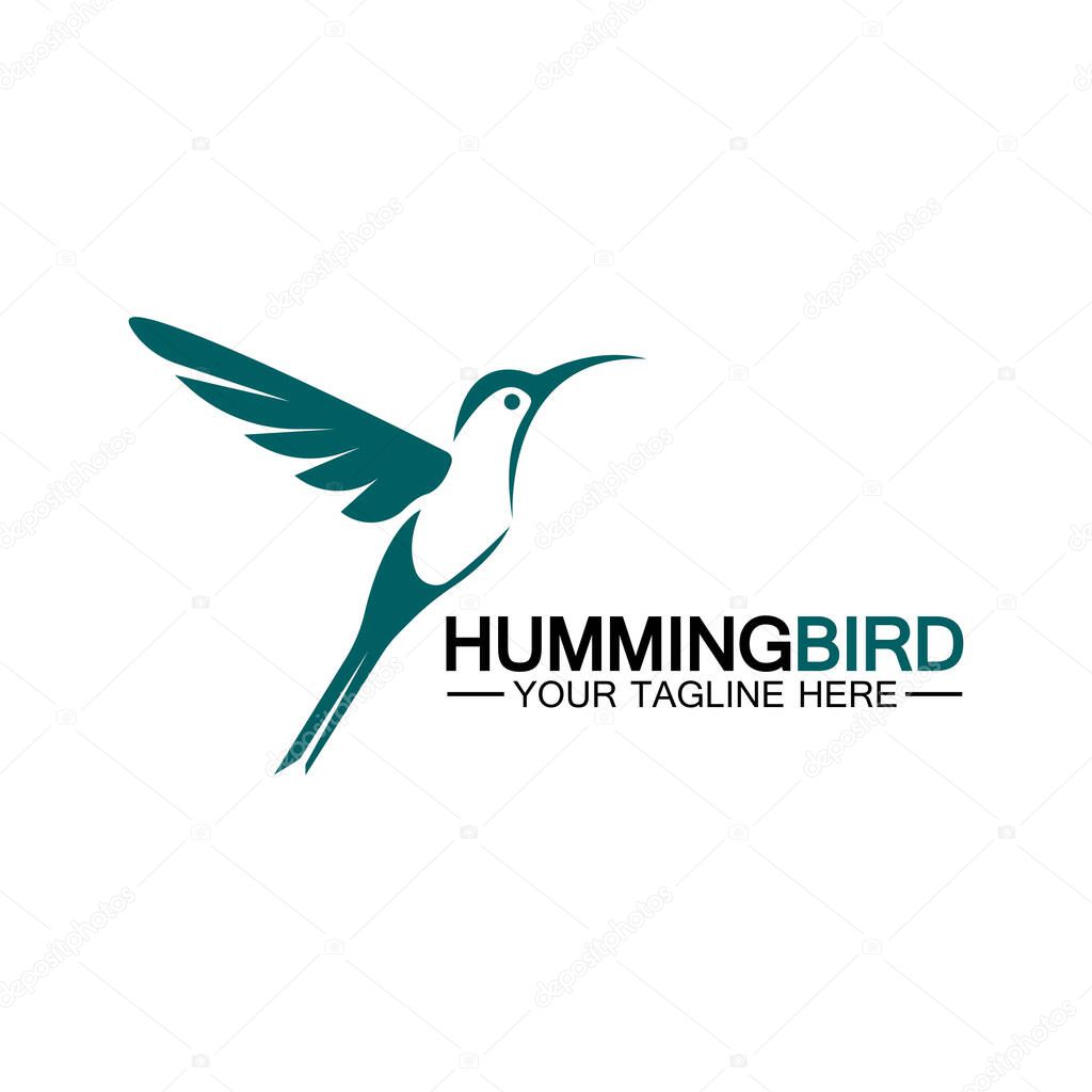 Hummingbird logo design vector template