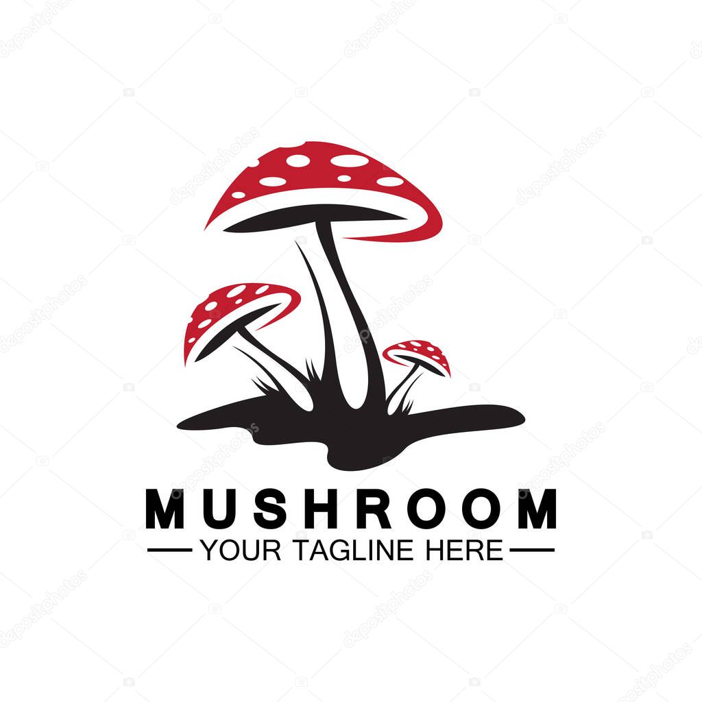 Mushroom Logo Vector Simple & Modern or Agriculture Organic Food Design Template